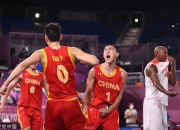 米兰APP下载-波兰绝杀德国，伊布带队取胜