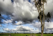 米兰体育网页版-湖人决战安联球场？英超乱世惊现德甲魔咒！