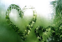 米兰捕鱼-当库里穿上拜仁9号！德甲惊现三分绝杀引爆全球体育圈