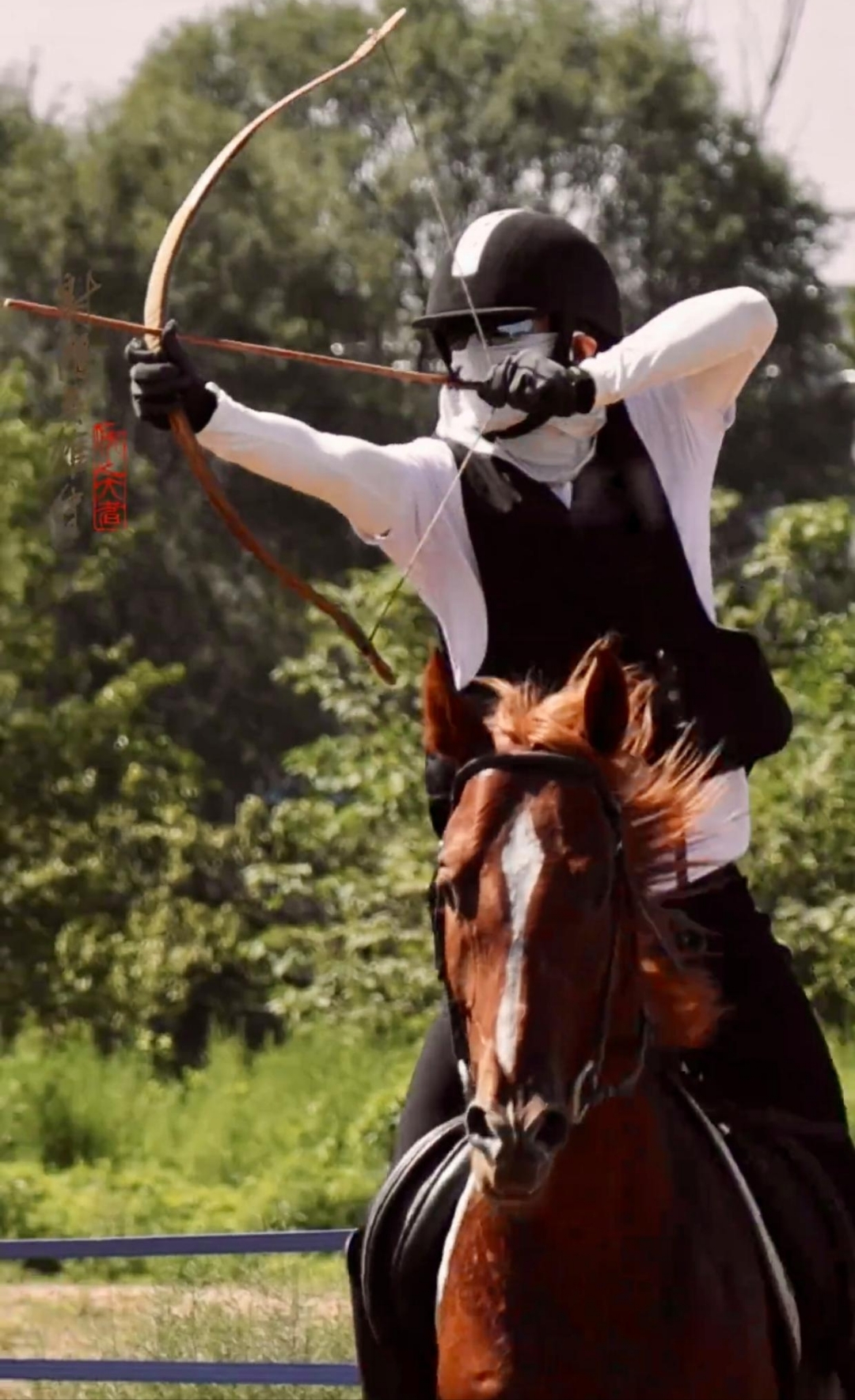 西班牙马术选手驭马飞行，尽显风采