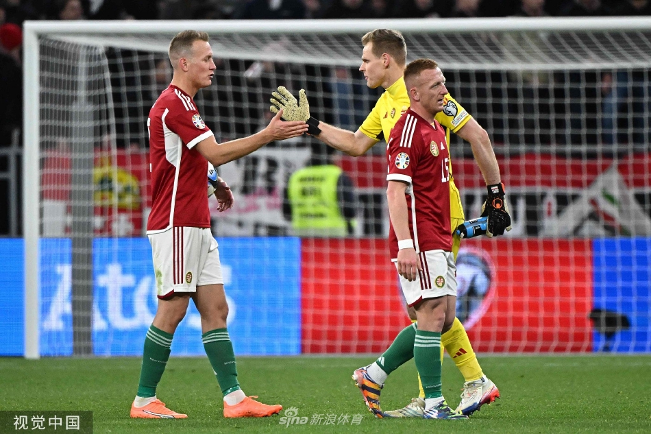 关于欧预赛保加利亚队在比赛中不畏强敌的信息